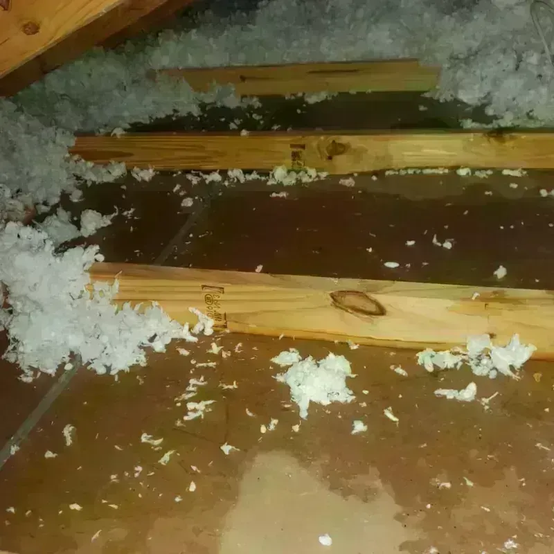 Attic Water Damage in Lipscomb County, TX