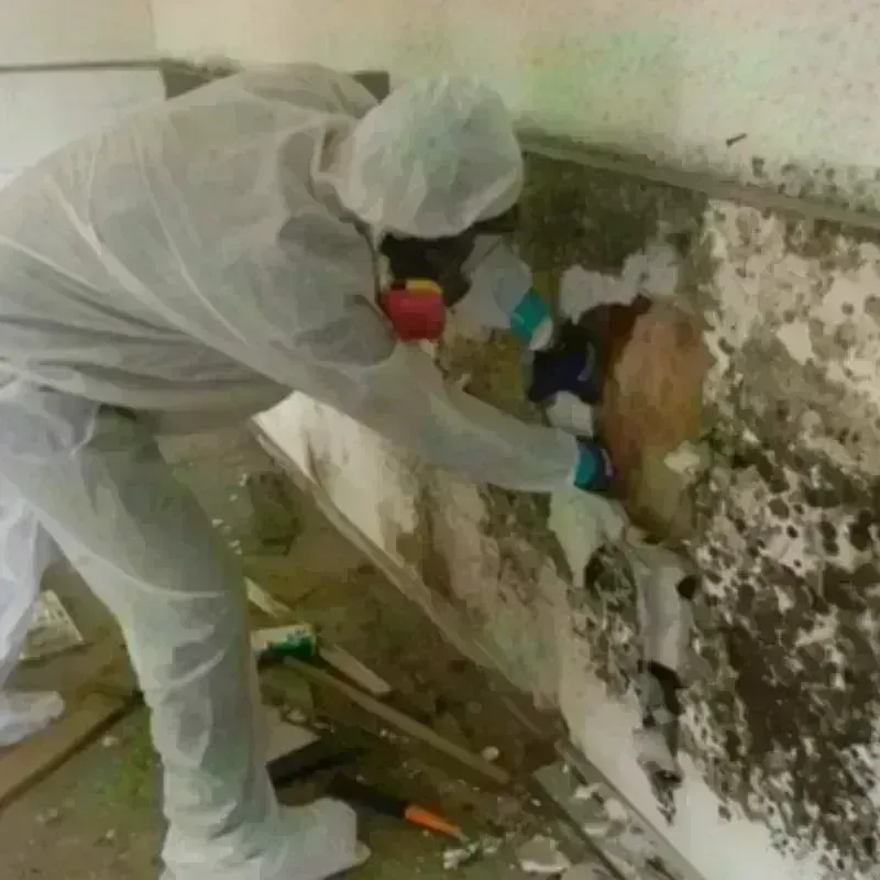 Mold Remediation and Removal in Lipscomb County, TX